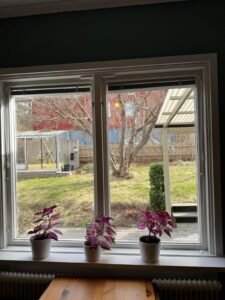 WhatsApp Image 2026-02-07 at 14.44.24 (13)