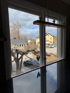 WhatsApp Image 2026-02-07 at 14.44.24 (8)